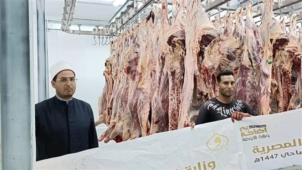 تقديراً لتضحياتهم.. “الأوقاف” تواصل ذبح الأضاحي لليوم الثالث المتتابع تقديراً لتضحياتهم.. “الأوقاف” تواصل ذبح الأضاحي لليوم الثالث المتتابع
