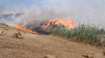 نيران ضخمة تلتهم مخزن كتان في الغربية.. و5 سيارات إطفاء تتدخل لإخماده (صور)