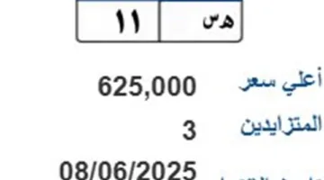 مزاد على لوحة سيارة فريدة “هـ.س 11” يقترب من مليون جنيه