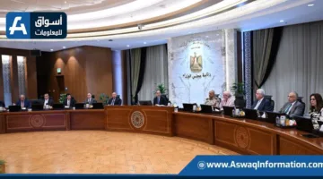 مجلس الوزراء: 321 خطوة لتعزيز القطاع الخاص في عام 2024 | إنفوجرافيك