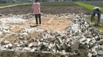 مديرية الزراعة تواصل جهودها في إزالة المخالفات على الأراضي الزراعية وتنفيذ الإزالات السريعة.