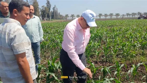 “الزراعة” تواصل تنفيذ خطط إنتاج بذور المحاصيل الزراعية خلال فترة عطلة العيد “الزراعة” تواصل تنفيذ خطط إنتاج بذور المحاصيل الزراعية خلال فترة عطلة العيد
