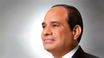 السيسي يوافق على تعديل قوانين “مجلس النواب” و”مجلس الشيوخ” و”تقسيم الدوائر” تمهيدًا لتنظيم الانتخابات البرلمانية