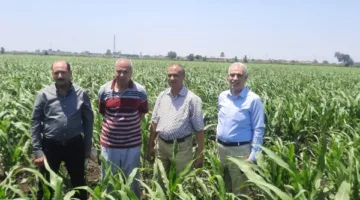 الزراعة تواصل تنفيذ برامجها البحثية في جميع أنحاء البلاد خلال عطلة العيد