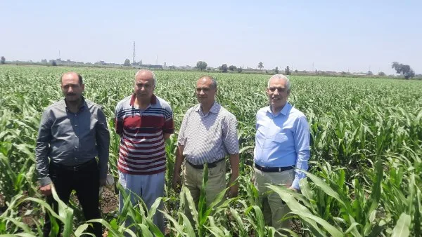 الزراعة تواصل تنفيذ برامجها البحثية في جميع أنحاء البلاد خلال عطلة العيد الزراعة تواصل تنفيذ برامجها البحثية في جميع أنحاء البلاد خلال عطلة العيد