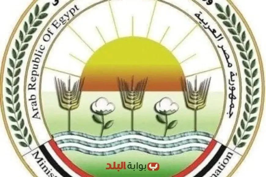 الزراعة: تقديم أكثر من 28 ألف أضحية مجانية للمواطنين في عيد الأضحى الزراعة: تقديم أكثر من 28 ألف أضحية مجانية للمواطنين في عيد الأضحى