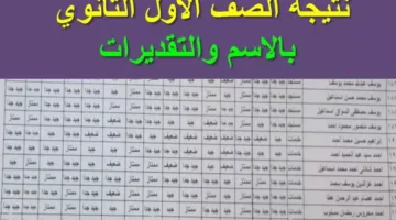 نتائج الصف الأول الثانوي 2025 للترم الثاني عبر موقع وزارة التربية والتعليم برقم الجلوس أو الاسم فقط
