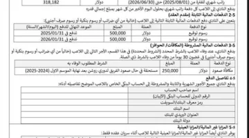 «عرض خارق للعادة».. المعلومات المالية وراء عرض نيوم السعودي لضم زيزو