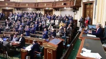 بعد موافقة الرئيس السيسي على التعديلات.. تعرف على عدد مقاعد الدائرة الفردية في مجلس النواب بمحافظة القاهرة.