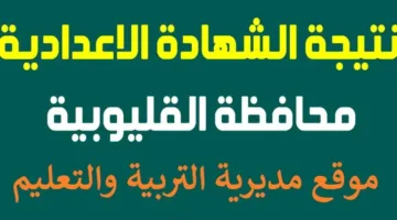نتائج الإعدادية لعام 2025 في القليوبية متاحة على موقع وزارة التربية والتعليم