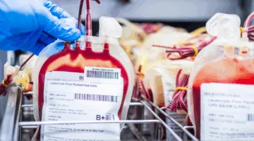 استثمار طبي بقيمة 1.4 مليار جنيه… مصر تُقبل على إنشاء مصنع لأكياس الدم في السخنة