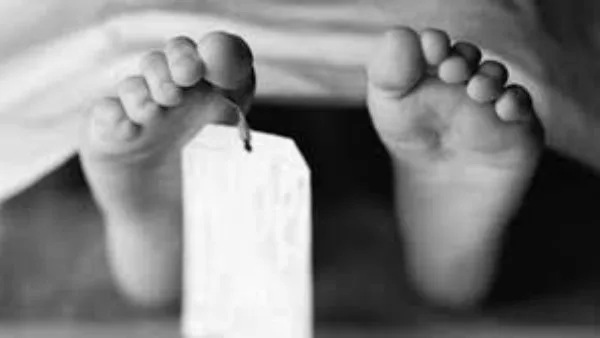 تركه والداه قرب الأضحية.. وفاة طفل اختناقًا داخل سيارة في الأميرية تركه والداه قرب الأضحية.. وفاة طفل اختناقًا داخل سيارة في الأميرية