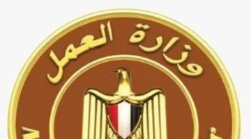 وزير العمل يُعزي في وفاة البطل خالد شوقي ويعلن عن منحة قدرها 200 ألف جنيه لأسرته.