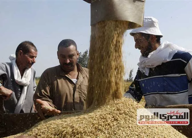 ما هي أسعار الأرز الشعير والأبيض اليوم الإثنين 9 يونيو 2025 في أسواق الشرقية؟ ما هي أسعار الأرز الشعير والأبيض اليوم الإثنين 9 يونيو 2025 في أسواق الشرقية؟