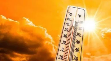 حالة الطقس اليوم: استمرار الحرارة في معظم المناطق مع رياح نشيطة واضحة