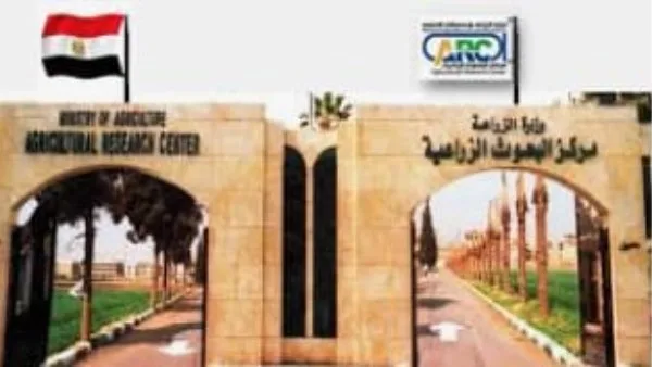 أرقام قياسية لزيارات قيادات مركز البحوث الزراعية إلى محطات البحث أثناء عيد الأضحى أرقام قياسية لزيارات قيادات مركز البحوث الزراعية إلى محطات البحث أثناء عيد الأضحى