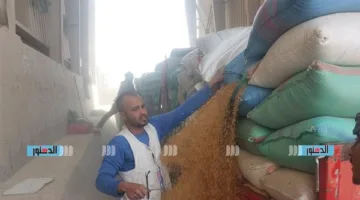 محافظ أسيوط: استمرار توريد القمح في اليوم الرابع من عيد الأضحى