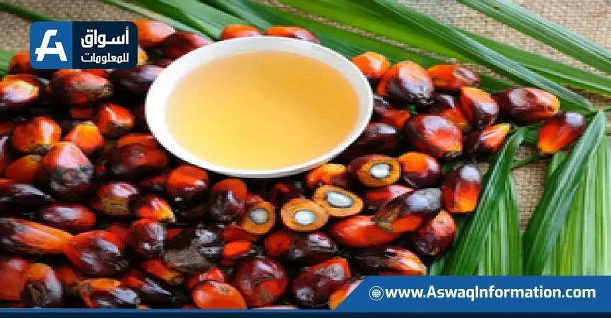 زيادة أسعار العقود الآجلة لزيت النخيل الماليزي في انتظار معلومات حيوية زيادة أسعار العقود الآجلة لزيت النخيل الماليزي في انتظار معلومات حيوية