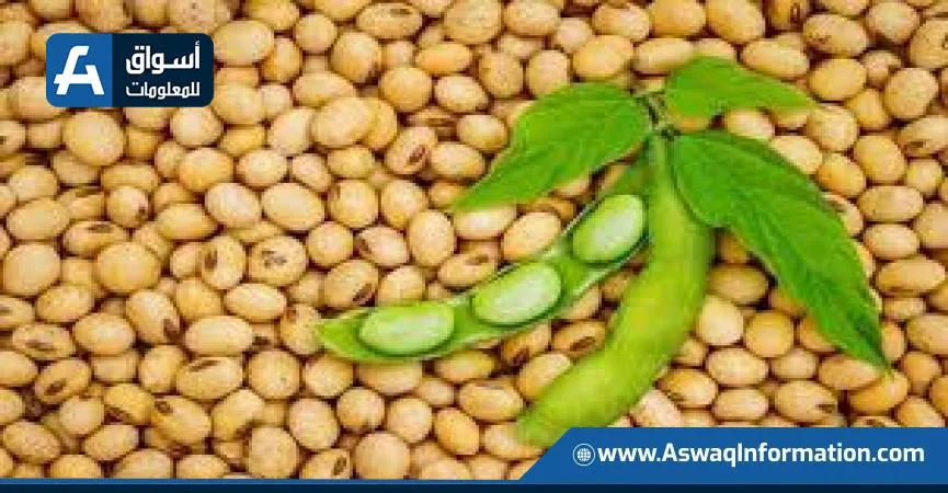 زيادة قياسية في واردات الصين من فول الصويا خلال مايو زيادة قياسية في واردات الصين من فول الصويا خلال مايو