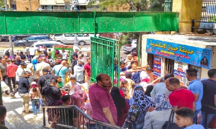 وسط أجواء من السعادة والمرح.. إقبال كبير على حديقة حيوان الإسكندرية وسط أجواء من السعادة والمرح.. إقبال كبير على حديقة حيوان الإسكندرية