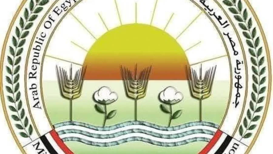 حدائق “الزراعة” تستقطب أكثر من 33 ألف زائر في اليوم الثالث من عيد الأضحى حدائق “الزراعة” تستقطب أكثر من 33 ألف زائر في اليوم الثالث من عيد الأضحى