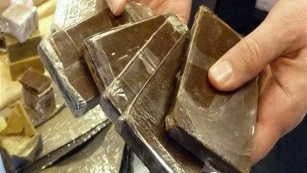 القبض على 6 كيلو من نبات الحشيش خلال حملات أمنية في أسوان القبض على 6 كيلو من نبات الحشيش خلال حملات أمنية في أسوان