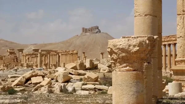 نهب التراث الثقافي في سوريا… تدمر تحت تهديد الزوال وسط اضطرابات أمنية وارتفاع مستويات الفقر نهب التراث الثقافي في سوريا… تدمر تحت تهديد الزوال وسط اضطرابات أمنية وارتفاع مستويات الفقر
