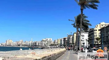 تقرير حالة الطقس ليوم الاثنين 9 يونيو 2025 في القاهرة والمناطق الأخرى.. ارتفاع درجات الحرارة في القاهرة إلى 36 درجة.