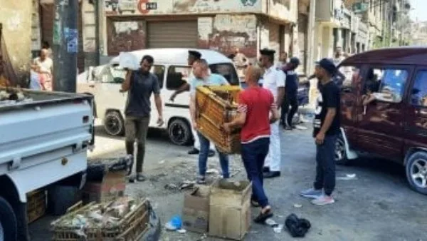 محافظ الإسكندرية يأمر بتعزيز حملات إزالة الإشغالات والتعديات لتحقيق النظام والانضباط محافظ الإسكندرية يأمر بتعزيز حملات إزالة الإشغالات والتعديات لتحقيق النظام والانضباط