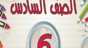 نتائج السادس الابتدائي 2025 في القاهرة والجيزة: كيفية الاستعلام باستخدام رقم الجلوس