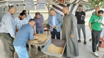 تواصل وصول محصول القمح وتوريد 271 ألف طن إلى مراكز التخزين والتوريد في محافظة الدقهلية