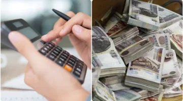 النشر 2.5##استثمر في المحتوى | معلومات شاملة حول عوائد شهادات بنك مصر والبنك الأهلي بعد التعديل