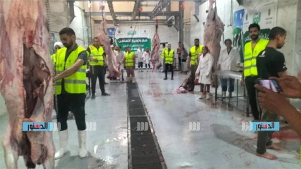 “التحالف الوطني” يجوب مدينة الأقصر لتقديم الأضاحي للأسر المحتاجة. “التحالف الوطني” يجوب مدينة الأقصر لتقديم الأضاحي للأسر المحتاجة.