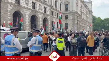 تظاهرة كبيرة أمام وزارة الخارجية البريطانية احتجاجًا على الهجوم الإسرائيلي على سفينة “مادلين” – فيديو