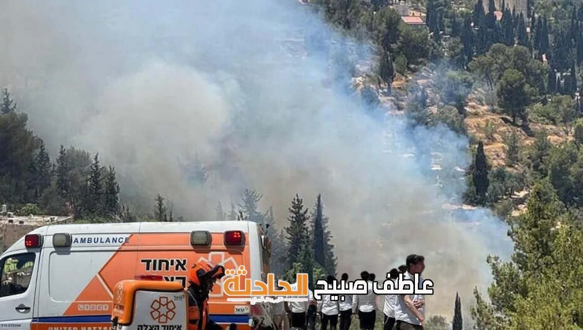 فيديو: 8 طائرات و35 فريق إطفاء يواجهون حريق غابات في عين كارم بالقدس المحتلة فيديو: 8 طائرات و35 فريق إطفاء يواجهون حريق غابات في عين كارم بالقدس المحتلة