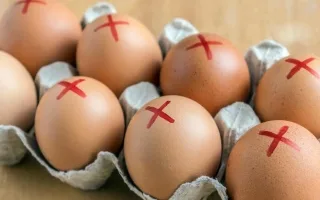 انتشار السالمونيلا في سبع ولايات أمريكية انتشار السالمونيلا في سبع ولايات أمريكية