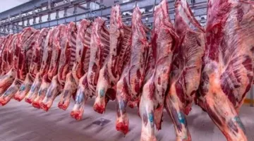 أسعار اللحوم الحمراء المحلية والمجمدة والسودانية في تداولات يوم الإثنين 9-6-2025