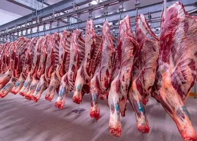 أسعار اللحوم الحمراء المحلية والمجمدة والسودانية في تداولات يوم الإثنين 9-6-2025 أسعار اللحوم الحمراء المحلية والمجمدة والسودانية في تداولات يوم الإثنين 9-6-2025