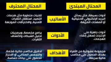 المحتالون الإلكترونيون: الفروق بين المبتدئين والمحترفين في الاحتيال عبر الإنترنت | إنفوجراف