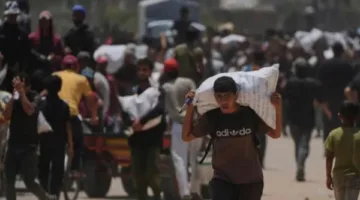 الأمم المتحدة: الغالبية العظمى من القمح الموزع في غزة تعرضت للنهب نتيجة الاحتلال