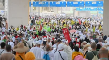 التضامن: انطلاق أولى رحلات حج الجمعيات الأهلية من جدة في 10 يونيو