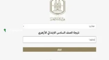 الاستعلام عن نتائج الشهادة الابتدائية الأزهرية 2025 من خلال بوابة الأزهر الشريف بالاعتماد على رقم الجلوس أو الاسم