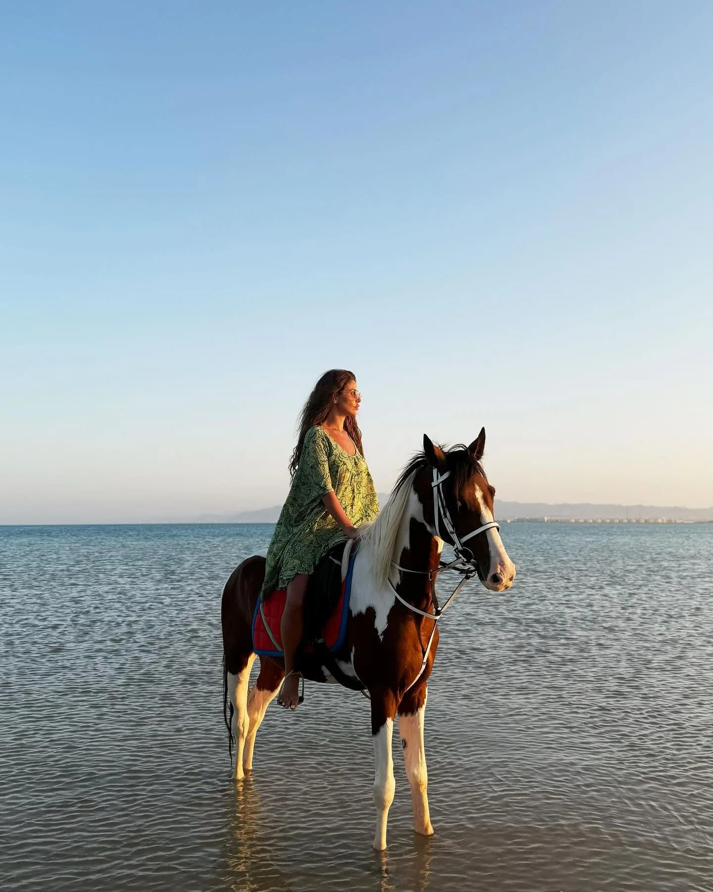 مايوه حريري… إطلالة مميزة لمي سليم من داخل البحر على حصانها الأبيض. مايوه حريري… إطلالة مميزة لمي سليم من داخل البحر على حصانها الأبيض.