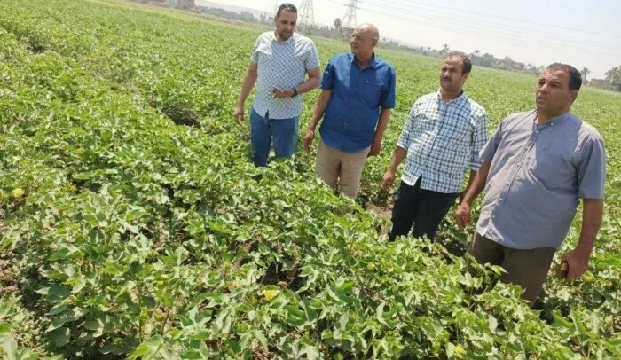 استراتيجية مصر 2030 في أسيوط: متابعة دقيقة للمحاصيل الصيفية لتعزيز الأمن الغذائي استراتيجية مصر 2030 في أسيوط: متابعة دقيقة للمحاصيل الصيفية لتعزيز الأمن الغذائي