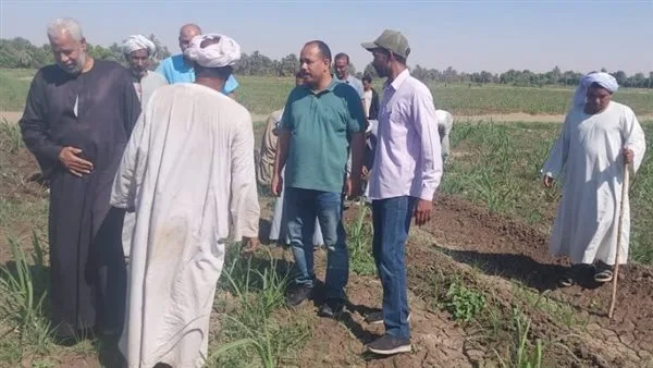 مدير معهد بحوث الإرشاد الزراعي يزور الفعاليات الإرشادية لدعم مزارعي منطقة كوم أمبو مدير معهد بحوث الإرشاد الزراعي يزور الفعاليات الإرشادية لدعم مزارعي منطقة كوم أمبو