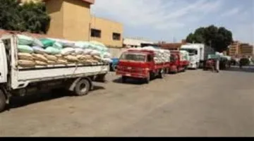 نجاح حصاد 100 ألف فدان من القمح في المنوفية مع توقعات إيجابية لتوريد المحصول في الموسم الحالي.