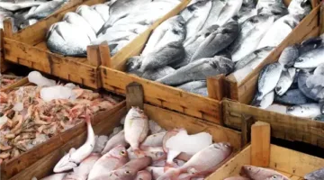 انخفاض أسعار الأسماك في أول يوم من العمل بسوق العبور بعد إجازة العيد