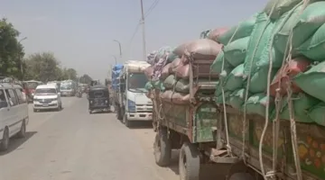 توفير 306,897 طن من القمح للمخازن والصوامع في البحيرة حتى الآن