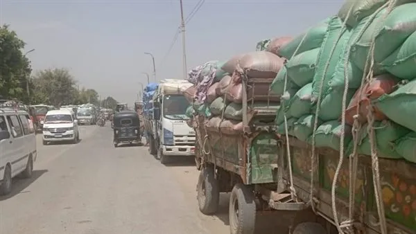 توفير 306,897 طن من القمح للمخازن والصوامع في البحيرة حتى الآن توفير 306,897 طن من القمح للمخازن والصوامع في البحيرة حتى الآن