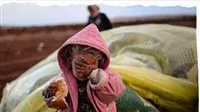 “الأونروا”: الجوع يقتل الفلسطينيين وسرقة وقتل بلا حدود في قطاع غزة “الأونروا”: الجوع يقتل الفلسطينيين وسرقة وقتل بلا حدود في قطاع غزة